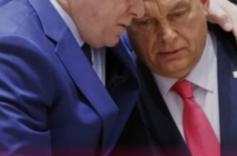 ❗️😱 Лише гляньте, що Фіцо видав перемоги Мадяра. Такого ніхто не чекав