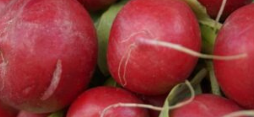 У борозенки під час посадки редиски вже 45 років кладу 1 “підкормку” – і збираю великі та міцні коренеплоди