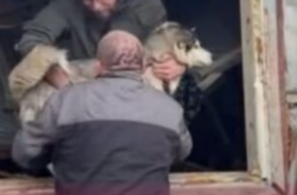 Шість годин скавчала під руїнами: журналіст у Києві допоміг врятувати собаку з-під завалів