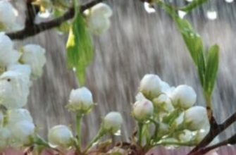 Готуйте парасолі: 17 квітня Україну накриє дощовий фронт — де буде холодніше і де залишиться тепло