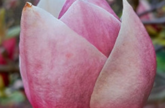 Синоптики розповіли, якою буде погода 17 квітня 