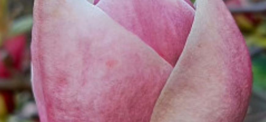 Синоптики розповіли, якою буде погода 17 квітня 