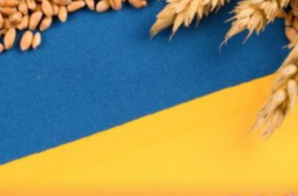 «Вже надто пізно»: Ізраїль дозволив судну з вкраденим українським зерном втекти