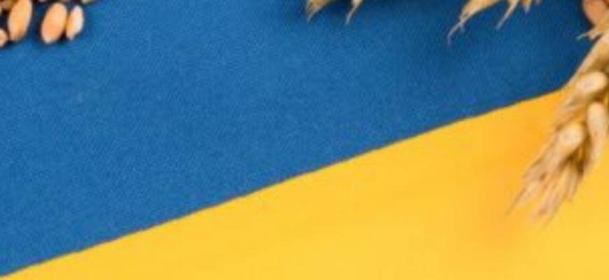 «Вже надто пізно»: Ізраїль дозволив судну з вкраденим українським зерном втекти