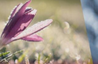 “Про справжнє тепло можна забути”: синоптик дав невтішний прогноз погоди в Україні