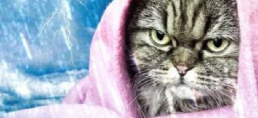 Україну накриють атмосферні фронти: синоптики попередили про негоду 23 квітня