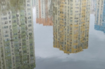 Сильний вітер та дощі: завтра погодні умови ускладняться, – синоптикиня 