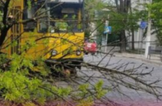 Дерева вириває з корінням та зносить дахи: Україною мчить небезпечний буревій, пропадає світло – відео