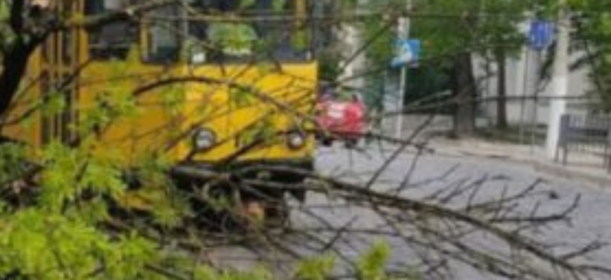 Дерева вириває з корінням та зносить дахи: Україною мчить небезпечний буревій, пропадає світло – відео