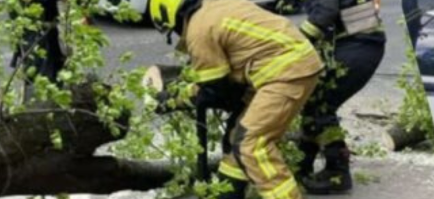 Страшна негода проривається! Буревій пронісся Заходом України: дерева вириває з корінням, є проблеми зі світлом