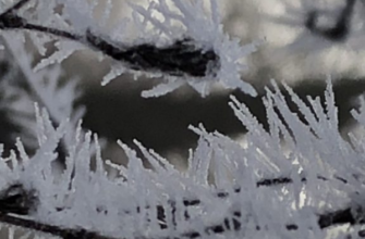 ‼️Морози повертаються в Україну – синоптики дали прогноз🥶