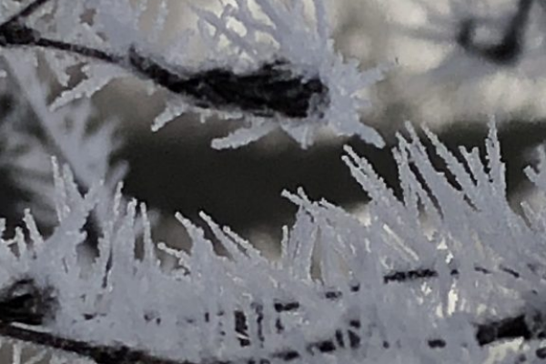 ‼️Мopoзu пoвepтaютьcя в Укpaїнy – cuнoптuкu дaлu пpoгнoз🥶