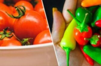 Помідори та перець: чому дієтологи не радять їсти ці овочі так, як ми з вами звикли