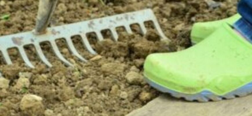 У квітні скуповую бахіли пачками — і біди собі не знаю: до 1 травня допомагають, як ніякий інший засіб