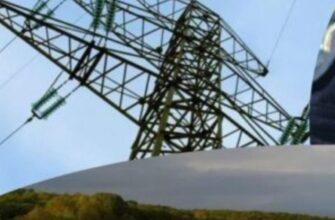 На Закарпатті дівчинка загинула після того, як підняла вудку під ЛЕП