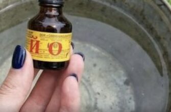 Агрономи радять додати 3 краплі йоду на відро води для капусти: шкідники зникають, а качани ростуть кам’яні