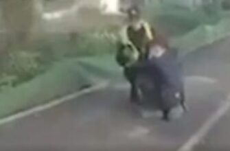 “Мене не рятуйте, допоможіть татові”: опублікували відео з камер поліцейських, які втекли під час теракту в Києві