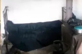 З такими “друзями” й вороги не потрібні: На Львівщині підприємець понад 20 років тримав у трудовому рабстві колишнього однокласника