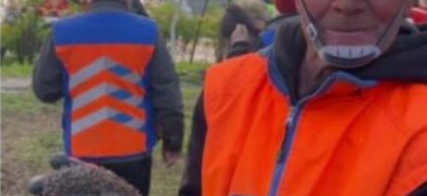 В Дніпрі комунальники врятували їжака, який опинився не в той час не в тому місці В Дніпрі комунальники врятували їжака, який опинився не в той час не в тому місці