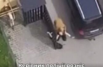 “Війна все спише”, але не для поліції”: Вигівський розніс мобілізацію Нацполом