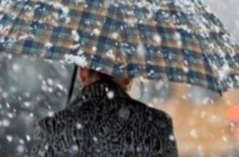 Сніг і до +19: синоптик Діденко попередила про погоду у суботу та неділю