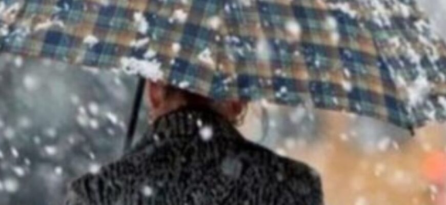 Сніг і до +19: синоптик Діденко попередила про погоду у суботу та неділю