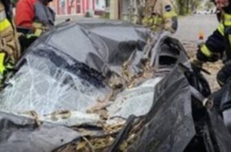 Смертельна негода у Запоріжжі: повалене дерево розчавило авто разом із водієм