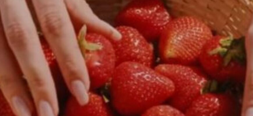 Іноді дрібничка у підживленні полуниці зіграє з вами злий жарт: а от 1 кухоль цієї підгодівлі приємно здивує