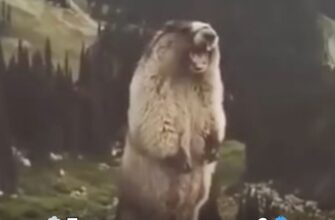 Травень чи «травень-листопад»? Укргідрометцентр ошелешив прогнозом: на тепло чекати не варто