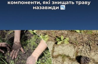 Прополювати більше не потрібно: “винайшла” розчин з 3-х компонентів від бур’янів між плиткою