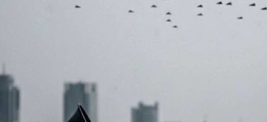 Oчiкyютьcя COТHI шaxeдiв ❗️Тepмiнoвe пoпepeджeння