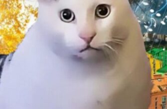 “Хай вони сказяться”: синоптик попередила про ще одну хвилю холоднечі і заморозків в Україні