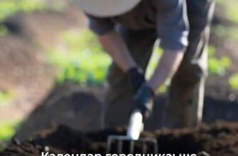 Календар городника: що робити на ділянці з 27 квітня по 3 травня