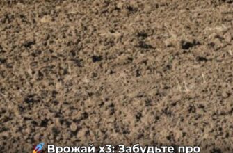 Більше не тримаю компостну купу – і врожай став у 3 рази більшим: просто закопую це прямо під коріння