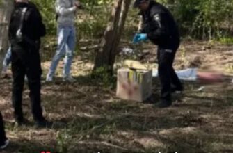 Було загорнуте в ковдру: У львівському парку знайшли тіло немовляти