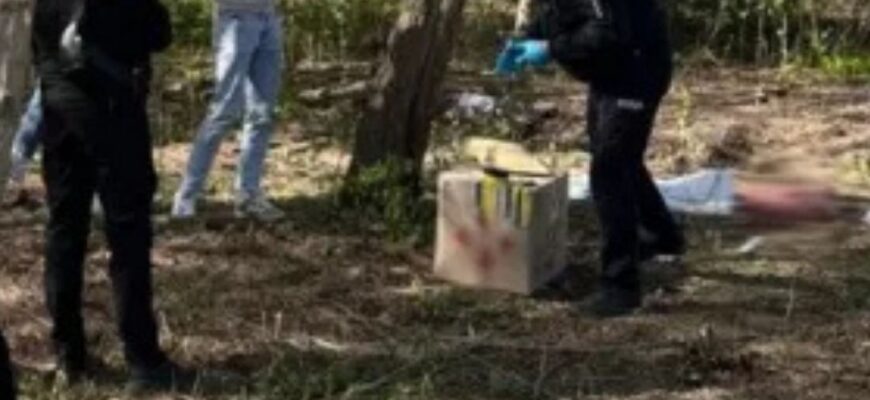 Було загорнуте в ковдру: У львівському парку знайшли тіло немовляти