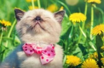 Пригріє до +19: синоптики порадували прогнозом про потепління, коли чекати