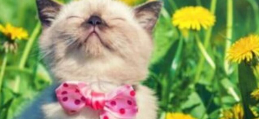 Пригріє до +19: синоптики порадували прогнозом про потепління, коли чекати