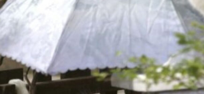 До України різко повертається тепло: де пригріє до +19°