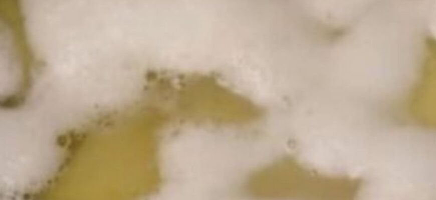 Що означає піна під час варіння картоплі? Ознака натуральності чи низької якості: пояснення