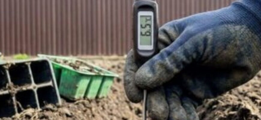 Будете лити сльози, помилившись 1 раз: картоплю треба садити вже чи чекати травня