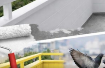 Якщо голуби гадять вам на балкон, його треба пофарбувати: цей колір ефективно відлякує птахів