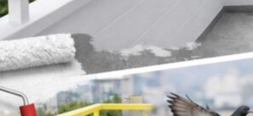 Якщо голуби гадять вам на балкон, його треба пофарбувати: цей колір ефективно відлякує птахів