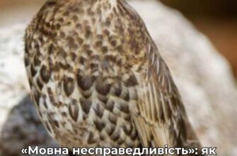 Як називається самець зозулі? Орнітологи нових слів не вигадують, тому за діло взявся народ