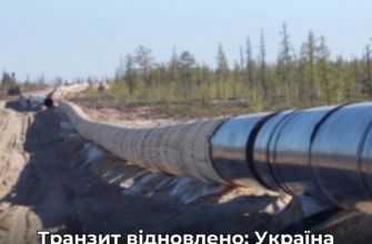 Україна відновила перекачування нафти “Дружбою”