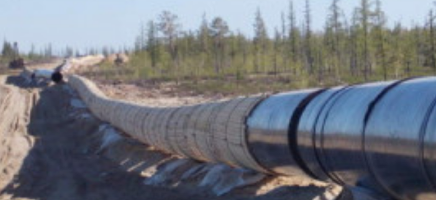 Україна відновила перекачування нафти “Дружбою”