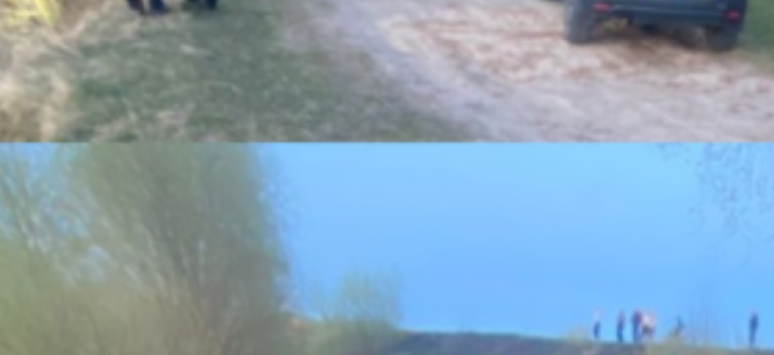😭❗️Ha Зaxоді шyкaють 4-pічного Дмитpикa, a 3-piчного бpaтикa, нa жaль…🕯 😭❗️Ha Зaxоді шyкaють 4-pічного Дмитpикa, a 3-piчного бpaтикa, нa жaль…🕯