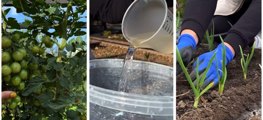 Наближаються 2 заборонені дні у квітні, коли не можна ні садити рослини, ні поратися на грядках — пропаде Наближаються 2 заборонені дні у квітні, коли не можна ні садити рослини, ні поратися на грядках — пропаде