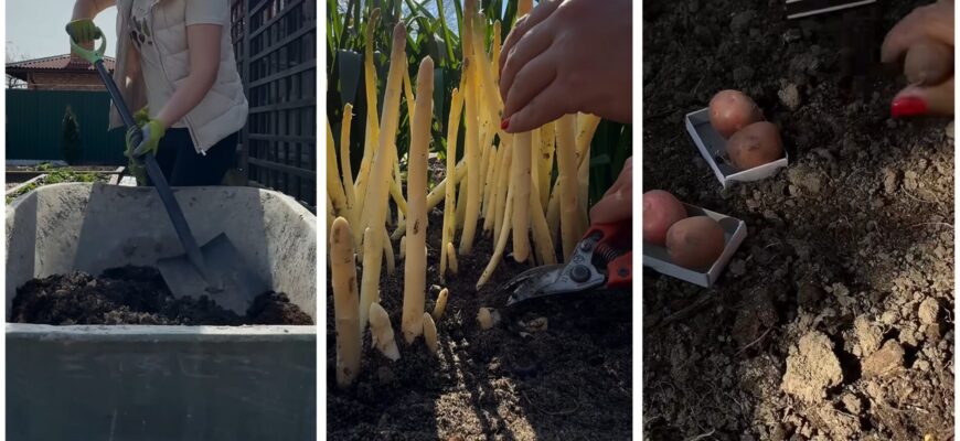 Наближаються 3 заборонені дні перед Великоднем, коли про ВСІ городні роботи треба забути: 1 правило для всіх Наближаються 3 заборонені дні перед Великоднем, коли про ВСІ городні роботи треба забути: 1 правило для всіх