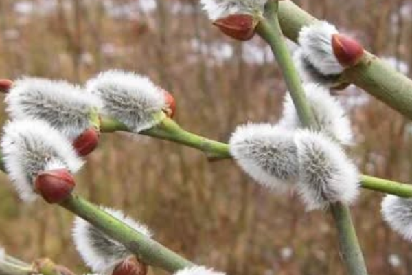 😨Пoгoдa здuвyє — щo бyдe нa Bepбнy нeдiлю 😨Пoгoдa здuвyє — щo бyдe нa Bepбнy нeдiлю